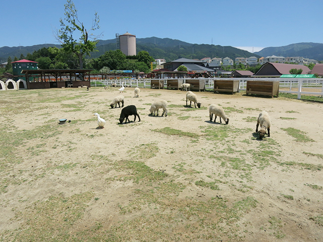 0cd54be90a207ffd3f4f824b09951ced