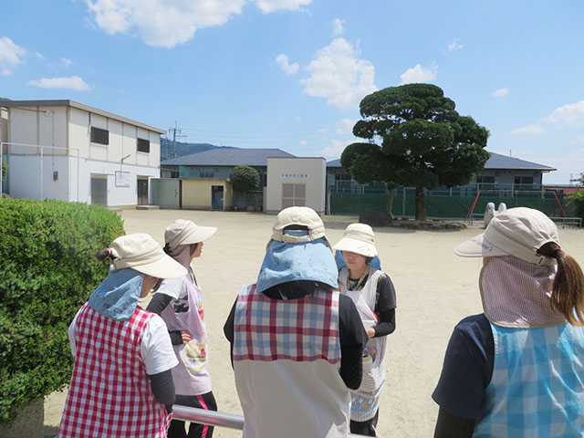 散歩コースの安全確認6