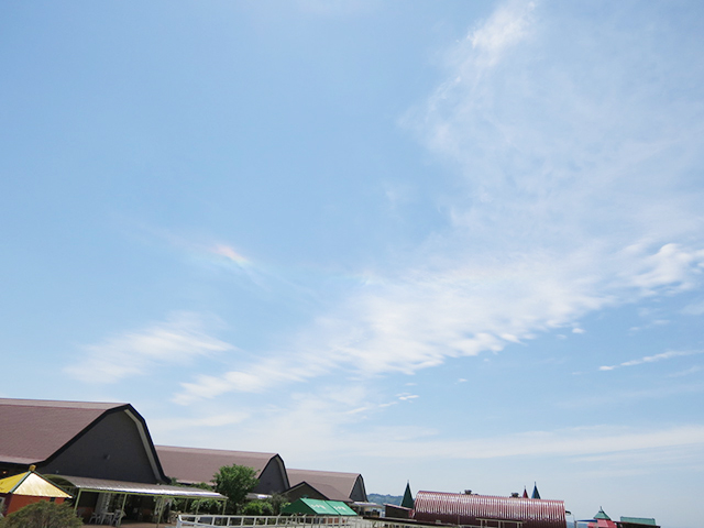 2edc4efd73ea84ec707b2fa710bd08291