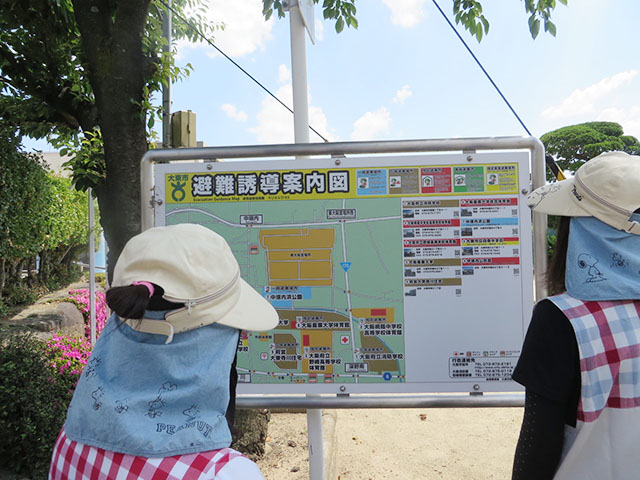 315f4e1695ed13b7a32bd1d86e64e432