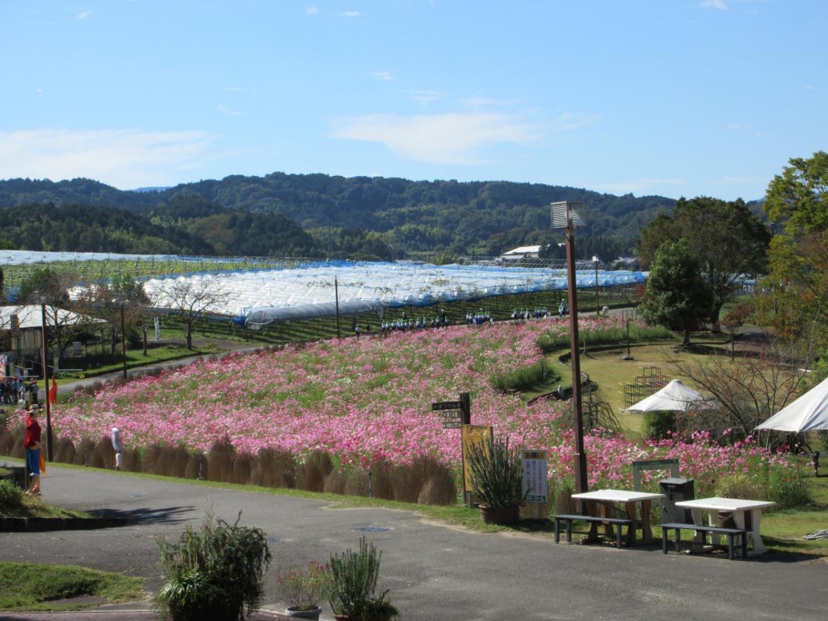 3601a49c7e3b476e5ed0d552c60eb49f2a724229