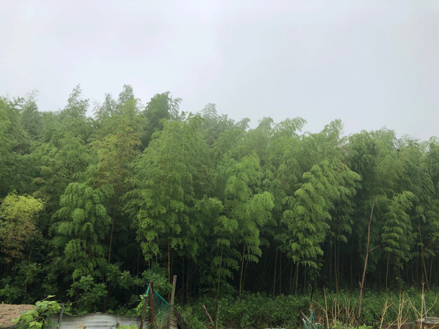 360db320a6f299e2ff50fc7924c157e7