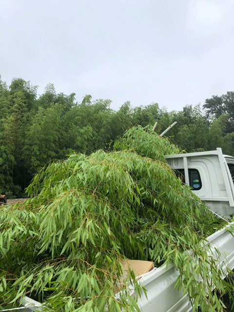 363e96c8cbfcde06587f63ad95bcf8f0