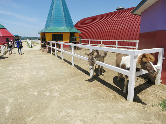 52742fc454c8ca29730ab312924522f8