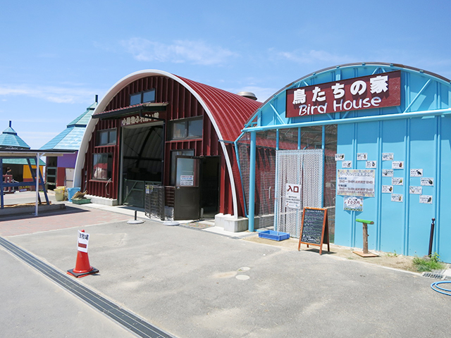 52a9b49029a26e8056d7a16d797e7555