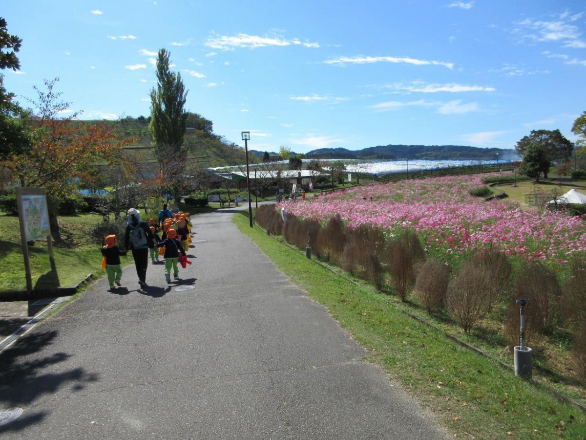 7b74fa644f8d9041d6daae72e2c648bf188dcdeb