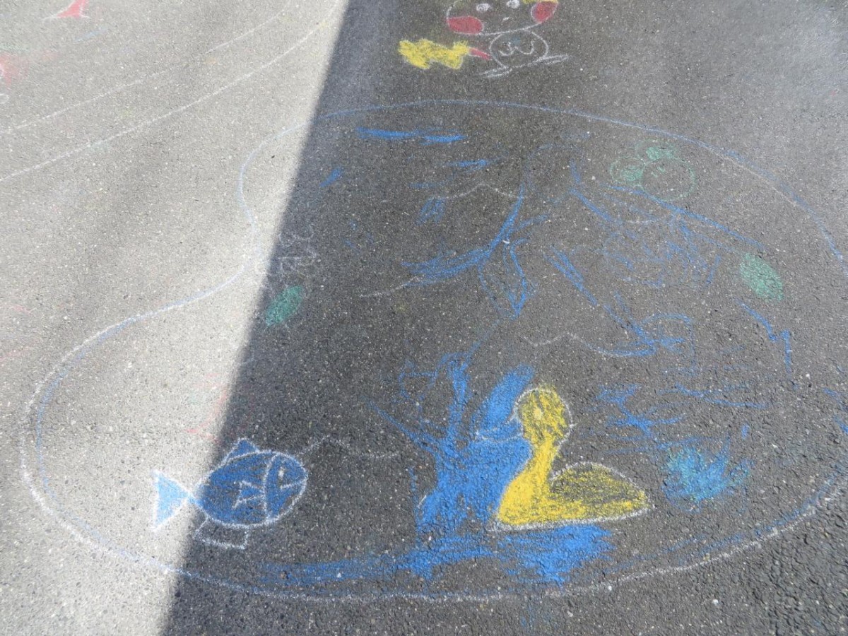 82a5eff95e4bd45ae3287fd8c3bcb36ca00881cd