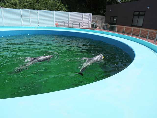 839b1229a8fcea5a44e0c2f47f649c67