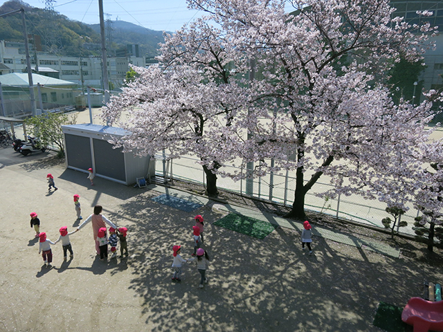 8d2faa6e5c2335ca2b5bdd6c48037cec