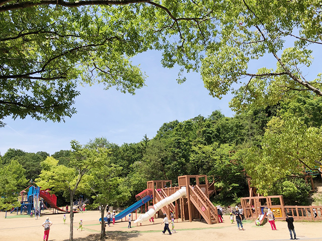 af7e7f091922a577cd453ac58c85d578