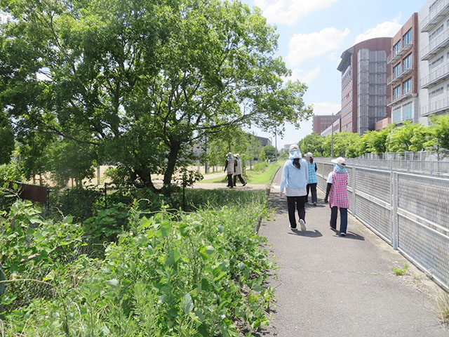 散歩コースの安全確認3