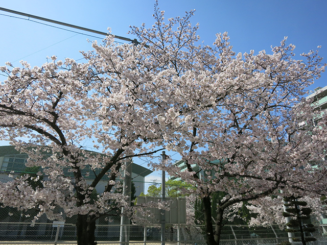 deb72e529bef2a799e3674f30da95cbf