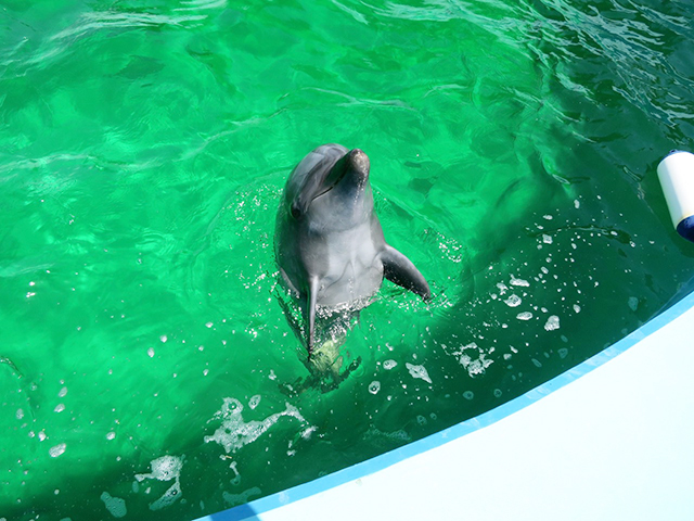 edded8a161181e768ac849da7b6f923d