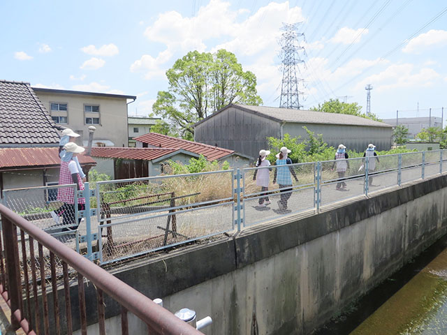 散歩コースの安全確認2